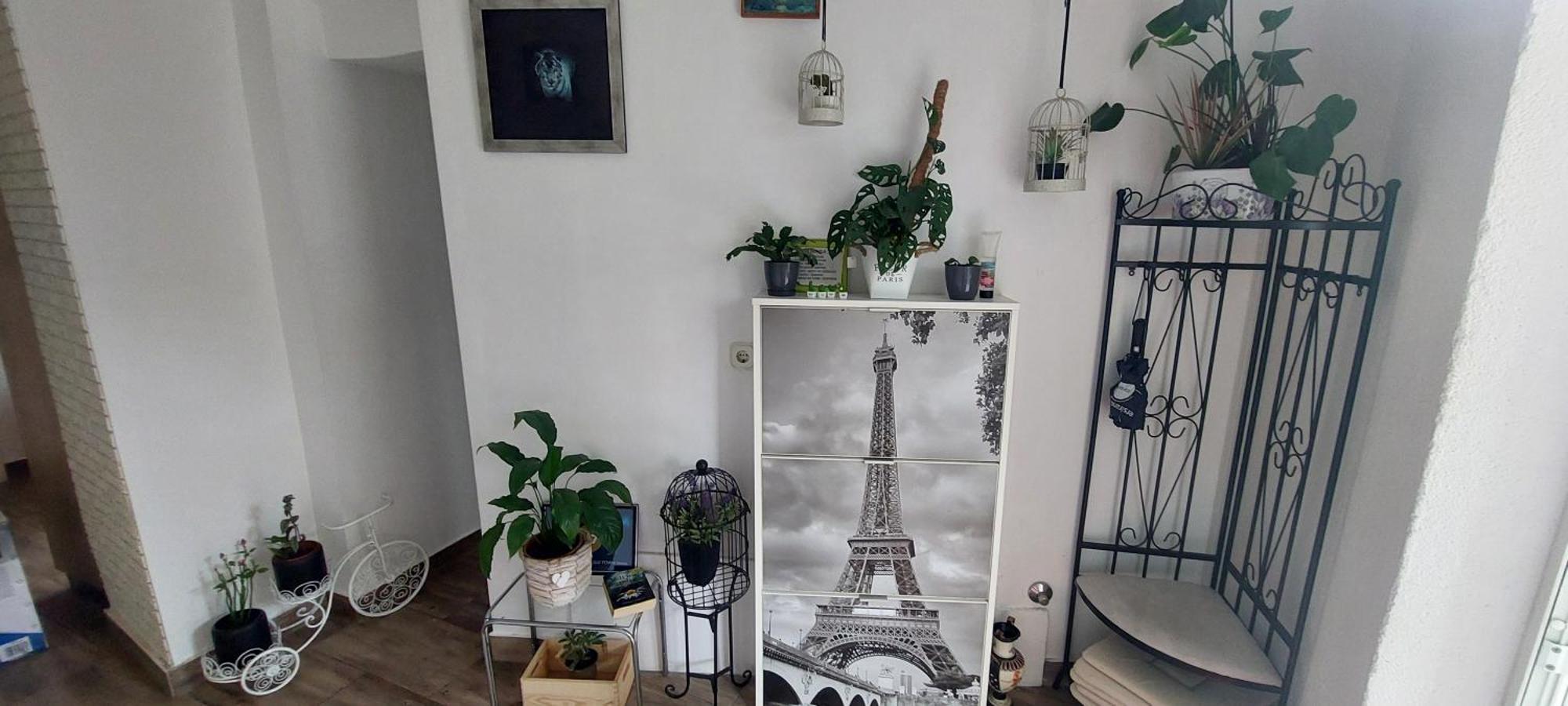 Old Town Sole Apartment Split Exterior foto